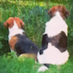 Meet your Posher, Taunya